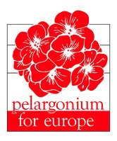 PFE Logo